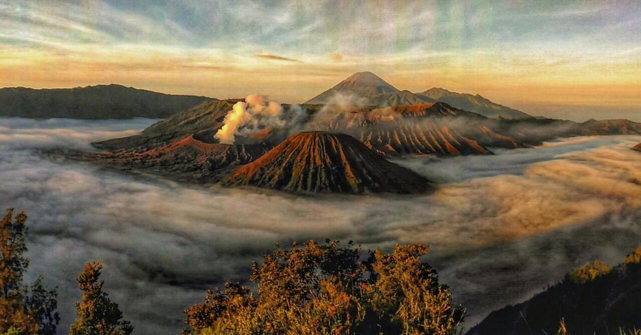Hotel Ijen Transito Ketapang  Exterior foto